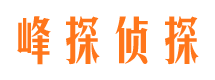 内乡侦探